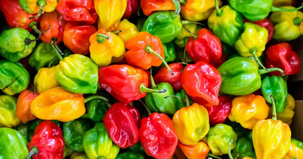 calabrese peppers